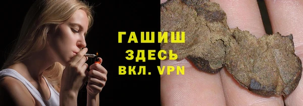 гидра Щигры