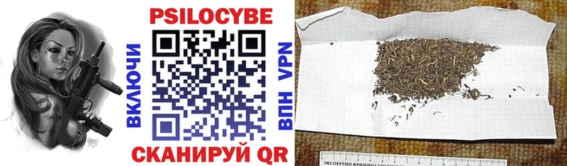 Псилоцибиновые грибы мухоморы  магазин продажи   Нарткала 